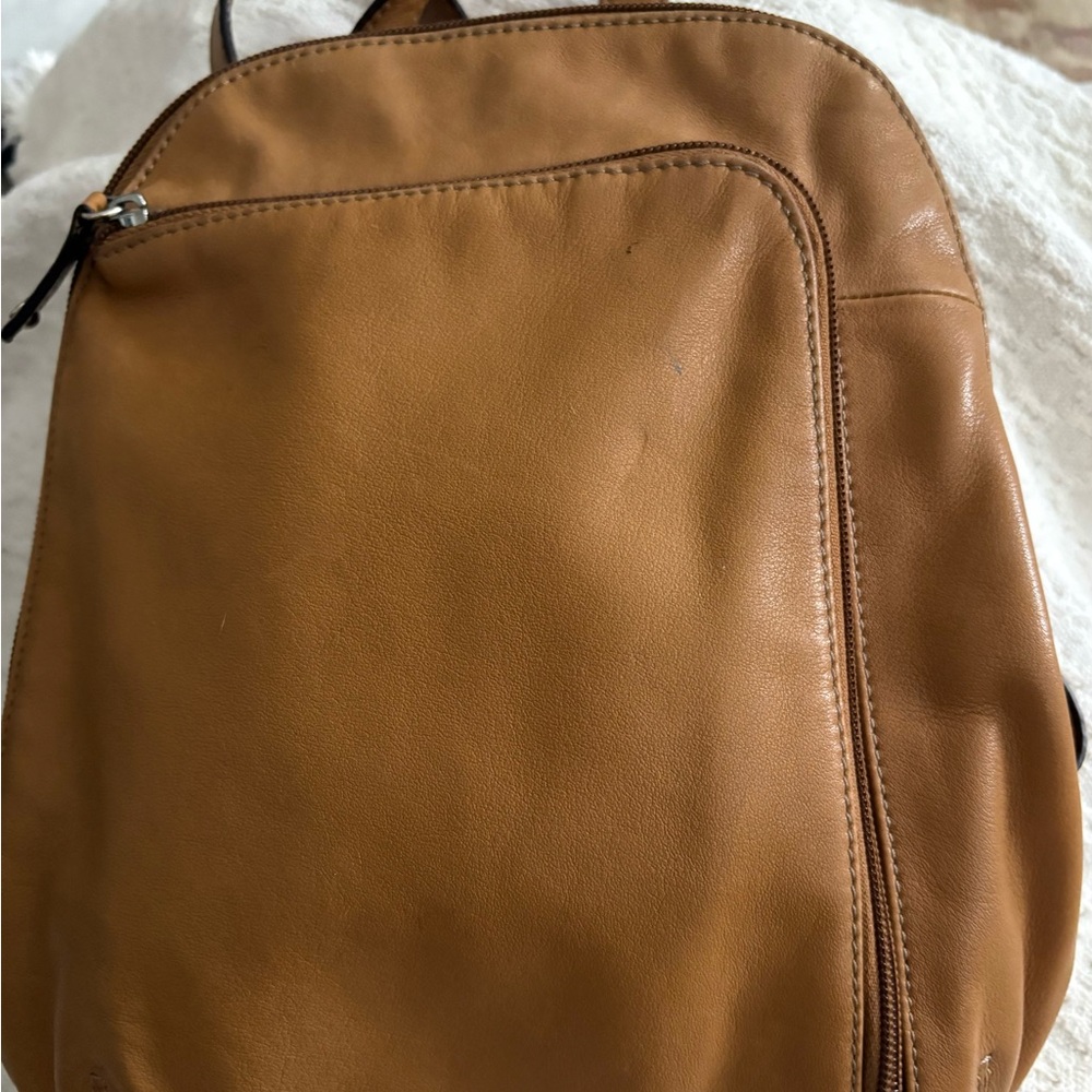 Tignanello Leather backpack Multicolor Striped Interior